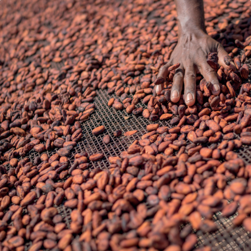 Opera Instantané_2025-11-28_110007_Brand20Mambo [Draft].pdf